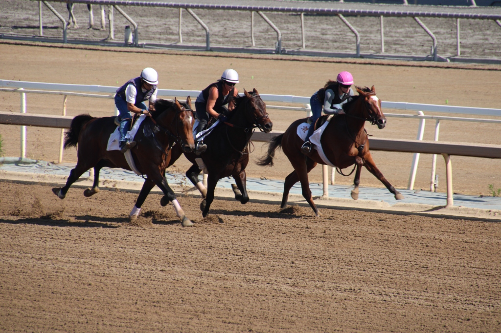 three horses working called Devil Moon on the outside, Greenbow in the middle, and Moorea Time on the rail